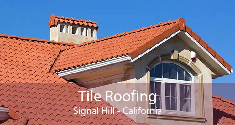 Tile Roofing Signal Hill - California